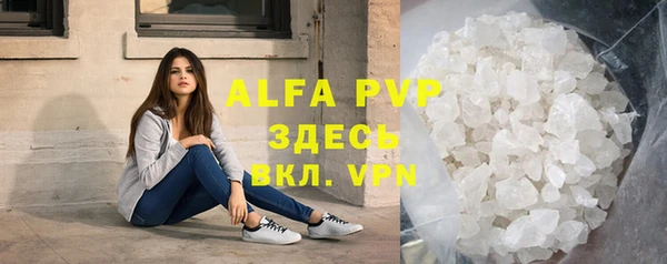 альфа пвп Новодвинск