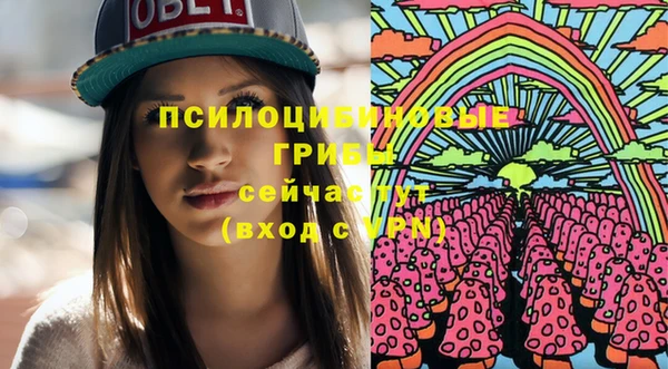 альфа пвп Новодвинск