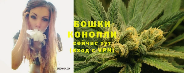 альфа пвп Новодвинск