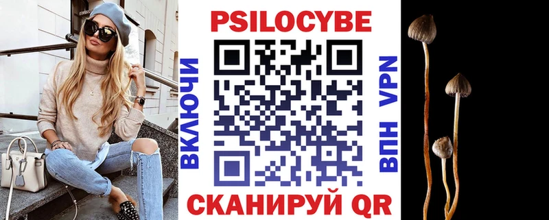 маркетплейс телеграм  сколько стоит  Ялуторовск  Псилоцибиновые грибы мухоморы 