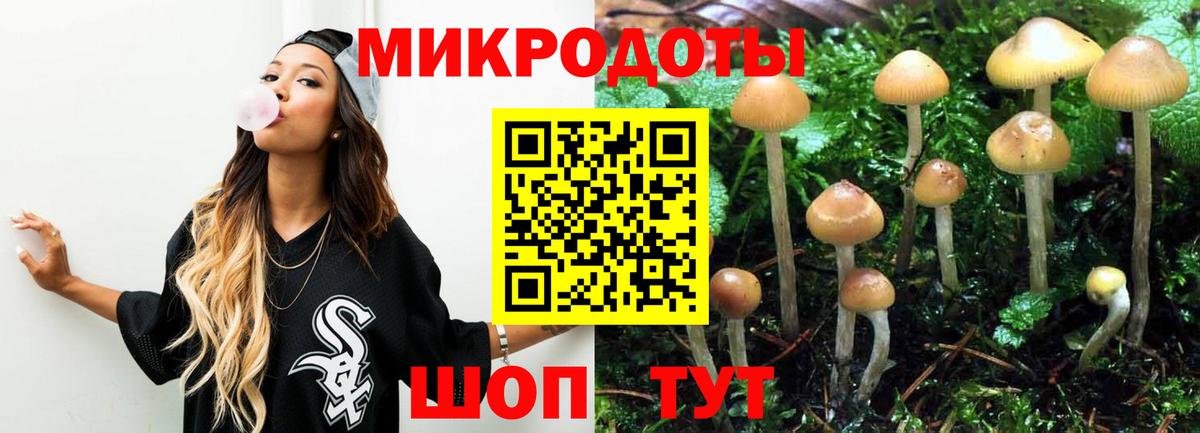 Псилоцибиновые грибы Magic Shrooms Ялуторовск
