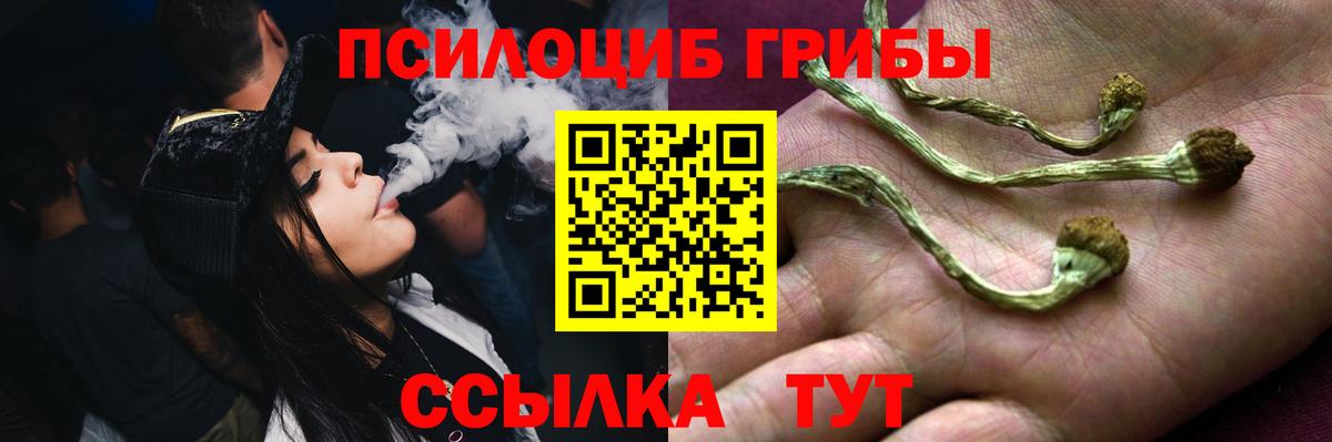 Ялуторовск  Псилоцибиновые грибы мухоморы  Вход с VPN 